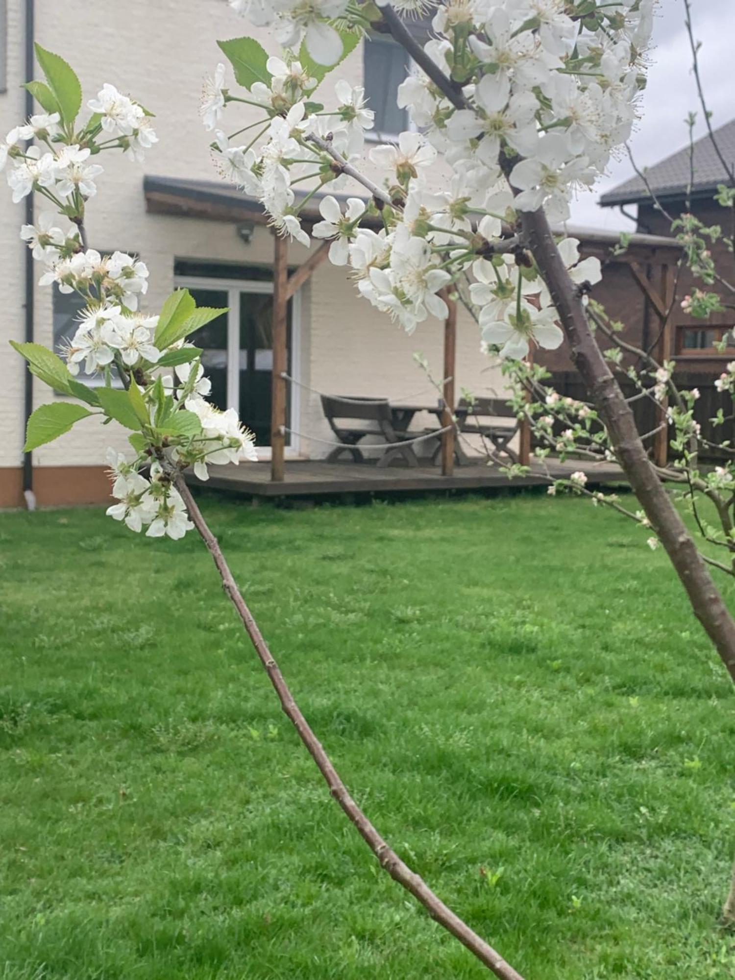 Pilaites Svetingi Namai Daire VNO Dış mekan fotoğraf